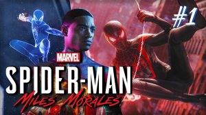 Marvel’s Spider-Man: Miles Morales - начало истории (ч. 1)