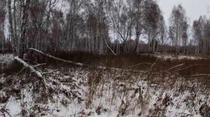 охоты на зайца