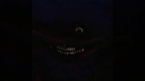 шин Соник (1)