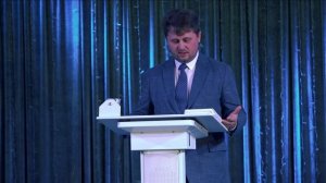 Безумие и благоразумие - Раннев Е. Л.