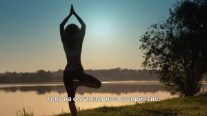 Возьми контроль над собой! Вылечись от мисофонии