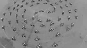 Мотоциклетный балет