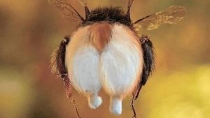 Бедный мотоцикл.!😆