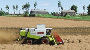 Уборка рапса Claas Lexion 560, Axion 960, Сосновка fs25