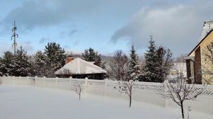 Вышла на свой участок, у нас настоящая зима! 🌲