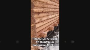 Сруб под Антекс Премиум - отзыв заказчика о работе пропитки от плесени и грибка в течении 1 года