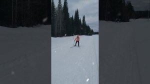 У нас лыжный сезон открыт! #лыжи #левша #лыжыегонки #соевновия #лыжник #кузбас   #анжеросудженск