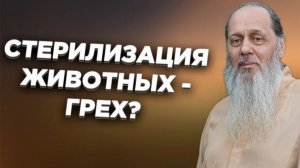 Является ли грехом стерилизация животных?