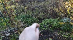 23-Дача😁 Отдыхаем😂как обычно.. с лопатами в руках😉часть 1