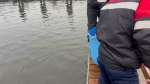 22.11.25. Утреннее зарыбление VIP зоны форелью.