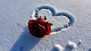 Снежный след любимой