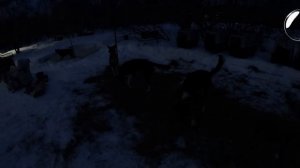 Авача-Берингия 2024