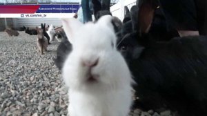 Нижегородские журналисты отправились в пресс-тур на Кавказ