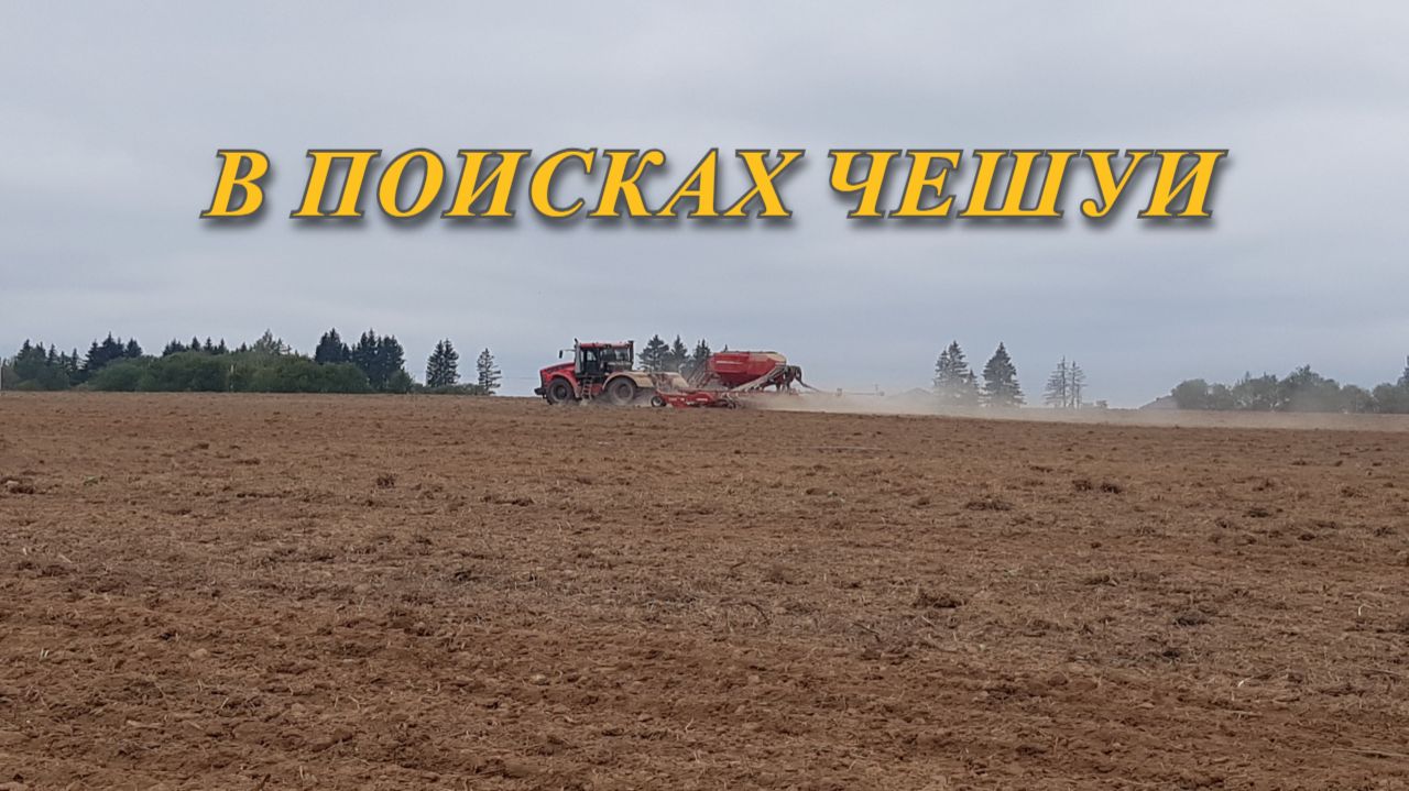 В поисках чешуи на распашке. смотреть онлайн