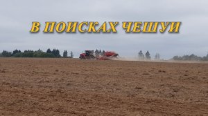 В поисках чешуи на распашке.