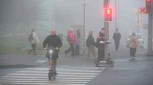 Минтранс не планирует вводить права для водителей СИМ