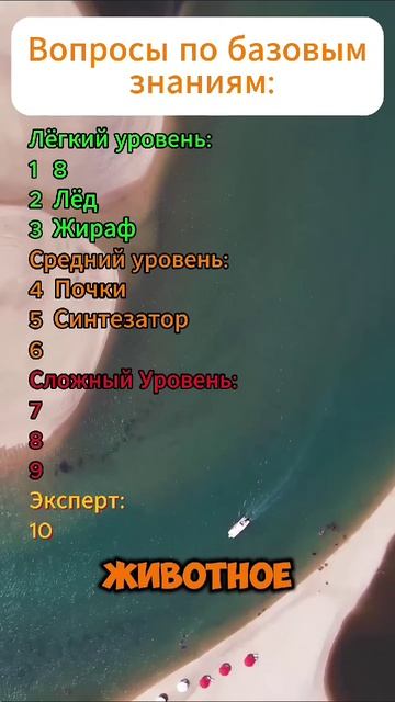 Викторина! Вопросы по базовым знаниям 🙈
