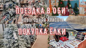 🎄Покупка Ёлки. Ну и цены🙂.Прогулка по новогоднему ОБИ🛍️.