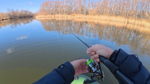 ЛОВЛЯ ЩУКИ НА КРАСИВОМ ЛЕСНОМ ОЗЕРЕ! Рыбалка на спиннинг поздней осенью.