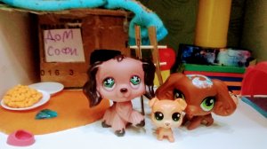 ПРИЮТ: 1 СЕРИЯ " КАК ГИДЖЕТ, ТУЗИК И МАЛЫШ ОКАЗАЛИСЬ В ПИТОМНИКЕ".