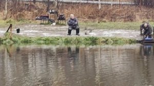 Светлые Горы Форель7 22.11.2025г.