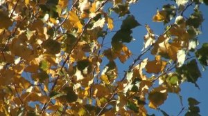 Духовный прогноз на 22 ноября.