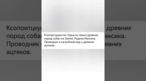 Земля - Ноев ковчег для межгалактических мигрантов