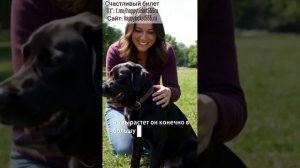 История моей клиентки с неожиданным концом