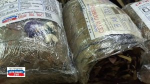 Не успели разгрузить машину добра, которую привезли Паша и Маша, а сеточки от Паучков уходят служить