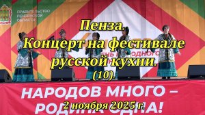Пенза. Концерт на фестивале русской кухни. (10). 02.11.2025
