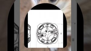 1000040846.mp4 (Собака смотрит на монтаж э/проводки (вариант монтажной коробки) в доме А-фрейм)