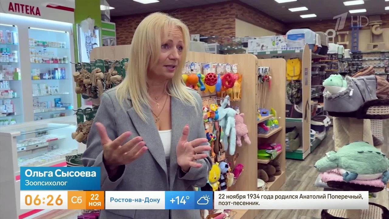 Новая кукла: зоопсихолог объяснила, почему детям нельзя дарить питомца сюрпризом