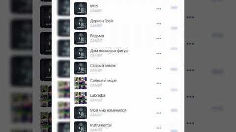 все мои треки одним листом #GAMBIT #RockGAMBIT #ДомВосковыхФигур #Лабрадор #Punk #Rock #Moscow