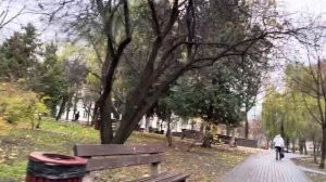 Украина 21 ноября! Что сегодня происходит в Киеве!