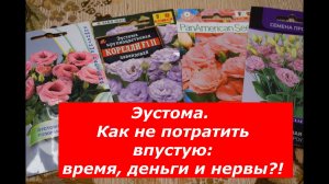Эустома - семена в пакете: на что обратить внимание, чтобы не разочароваться?