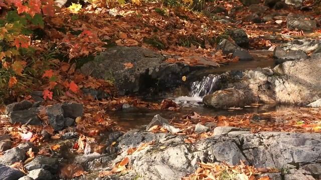 24 ноября - Ночь на грани. Магия перехода.