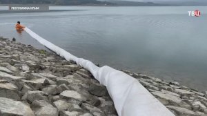 В водохранилища Крыма выпустили мальков толстолобика, карпа и белого амура.