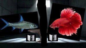 Просто анимация которая будет иметь 2—3 части,