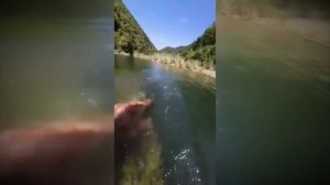 #смешныевидео -263