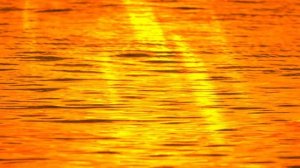 The Spirit of Wisdоm - LAURA C (Prayer Meditation Scripture Attributes оf Wisdоm - Binaural Beats)