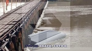 Женщина утонула во время рыбалки в Подмосковье