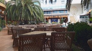 Болезненно сладкого чувства, из сердца я вырвать не в силах. читает автор Богдан Бандура