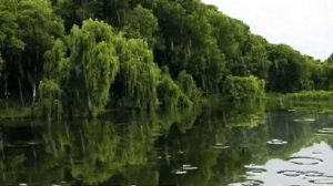 Видео.Идут дожди. 2025г