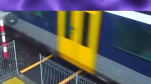 Такое редко увидишь Это было снято совершенно случайно