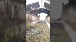 ферма времён СССР