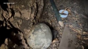 ФСБ обнаружила схрон с химическим оружием ВСУ в ДНР