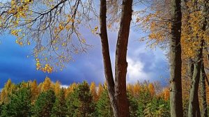 Осенью в парке