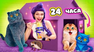 Руми 24 часа в доме из картона в стиле kpop demon hunters с питомцами. Прячемся от Дерпи