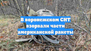 В воронежском СНТ взорвали части американской ракеты
