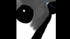 Рисую Крысеныша в Ибисе :√D